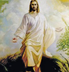 Jésus-Christ : Le chemin vers la perfection